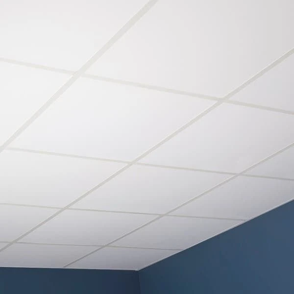 Grid Ceiling